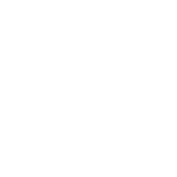 木子美學